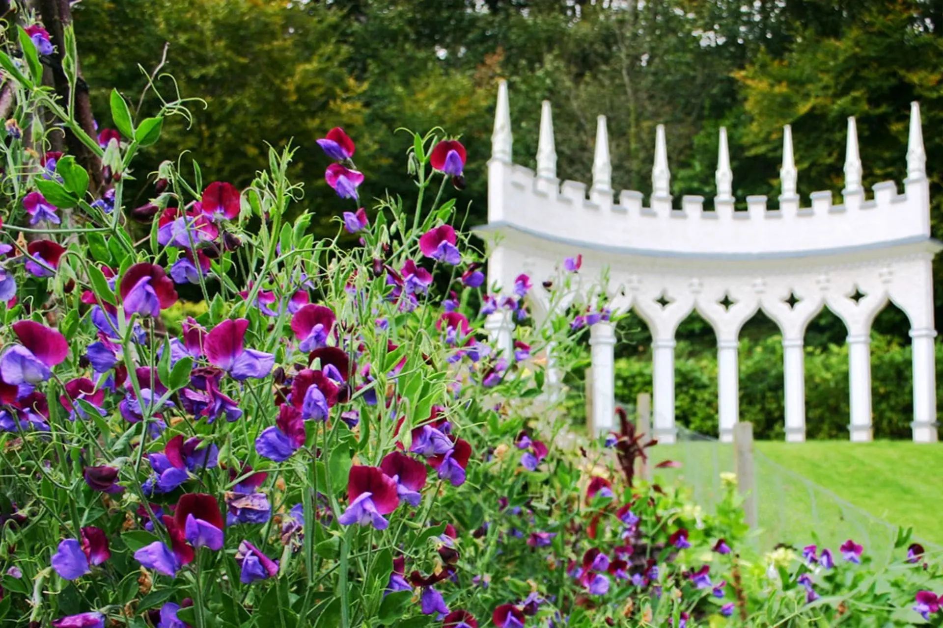 Painswick Rococo Gardens